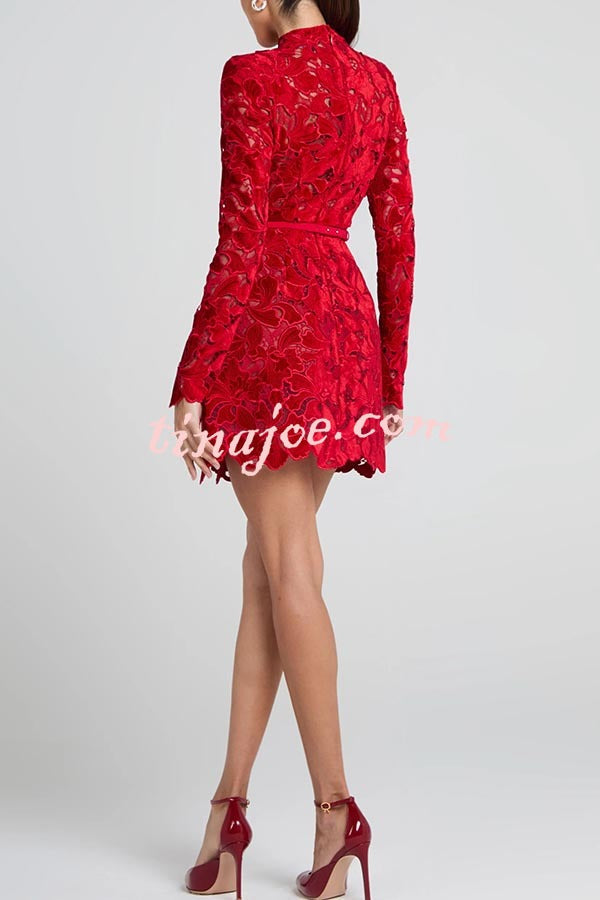 Vestido Lydia – Mini Tule com Renda Floral Bordada, Manga Longa e Cinto - Priya