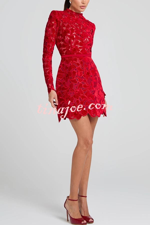 Vestido Lydia – Mini Tule com Renda Floral Bordada, Manga Longa e Cinto - Priya