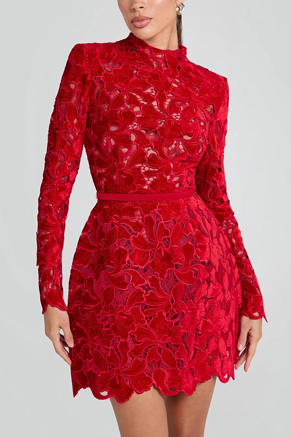 Vestido Lydia – Mini Tule com Renda Floral Bordada, Manga Longa e Cinto - Priya