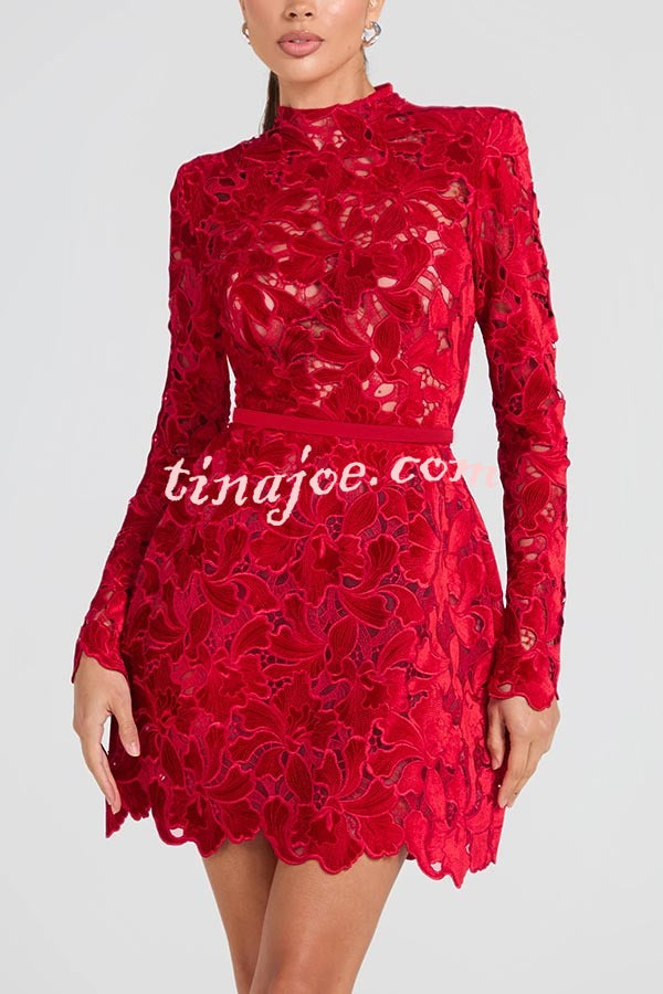 Vestido Lydia – Mini Tule com Renda Floral Bordada, Manga Longa e Cinto - Priya